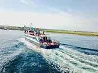 250 DAY PAX FERRY TOUR BOAT FOR SALE