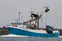 101 FT HERRING PURSE SEINER