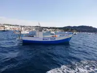 1982 Commercial Club Launch Fishing Day